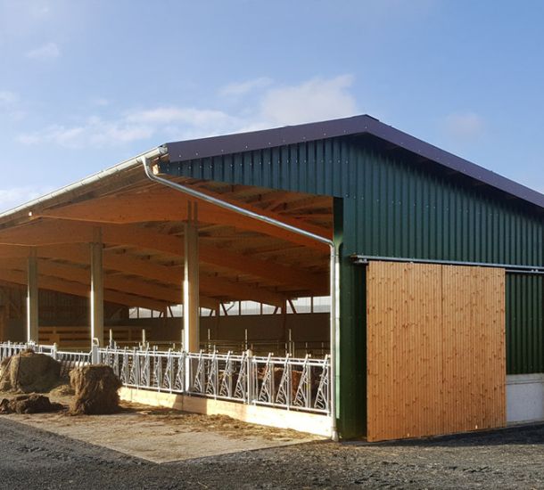 Offenstall mit grüner Holz- und Stahlkonstruktion (mobiles Format)